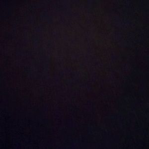 Meet your Posher, Daphne